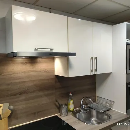 Residence Romains - 0G - Hebergements Classes Avec Garage * Στρασβούργο