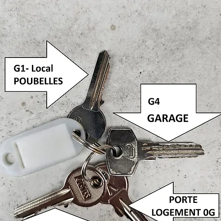 Romains - 0g - Hebergements Classes Avec Garage ストラスブール